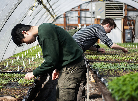 Students gardening in a greenhouse