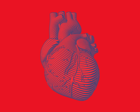 An illustration of a human heart on a red background.