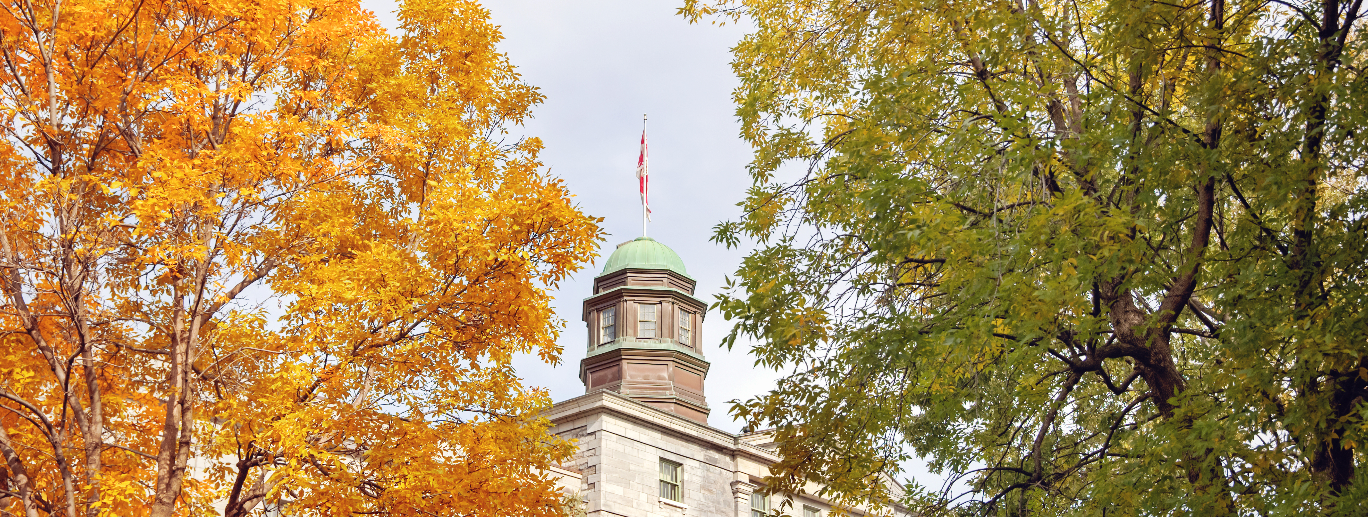 ƻԺ's Art Building Coppola and Flag behind autumn coloured trees