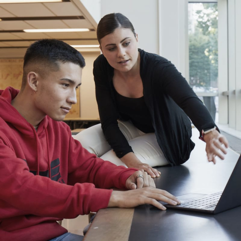 Student and an advisor looking at a computer