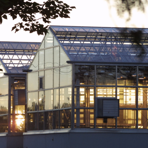 A photo of greenhouses at Macdonald Campus.